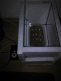 /album/prva-znaska-a-inkubacia-valec/k800-2012-03-05-21-34-08-jpg/